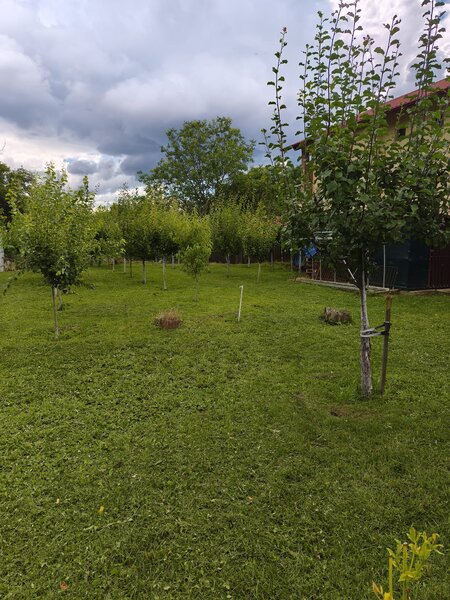 Breaza, Prahova.